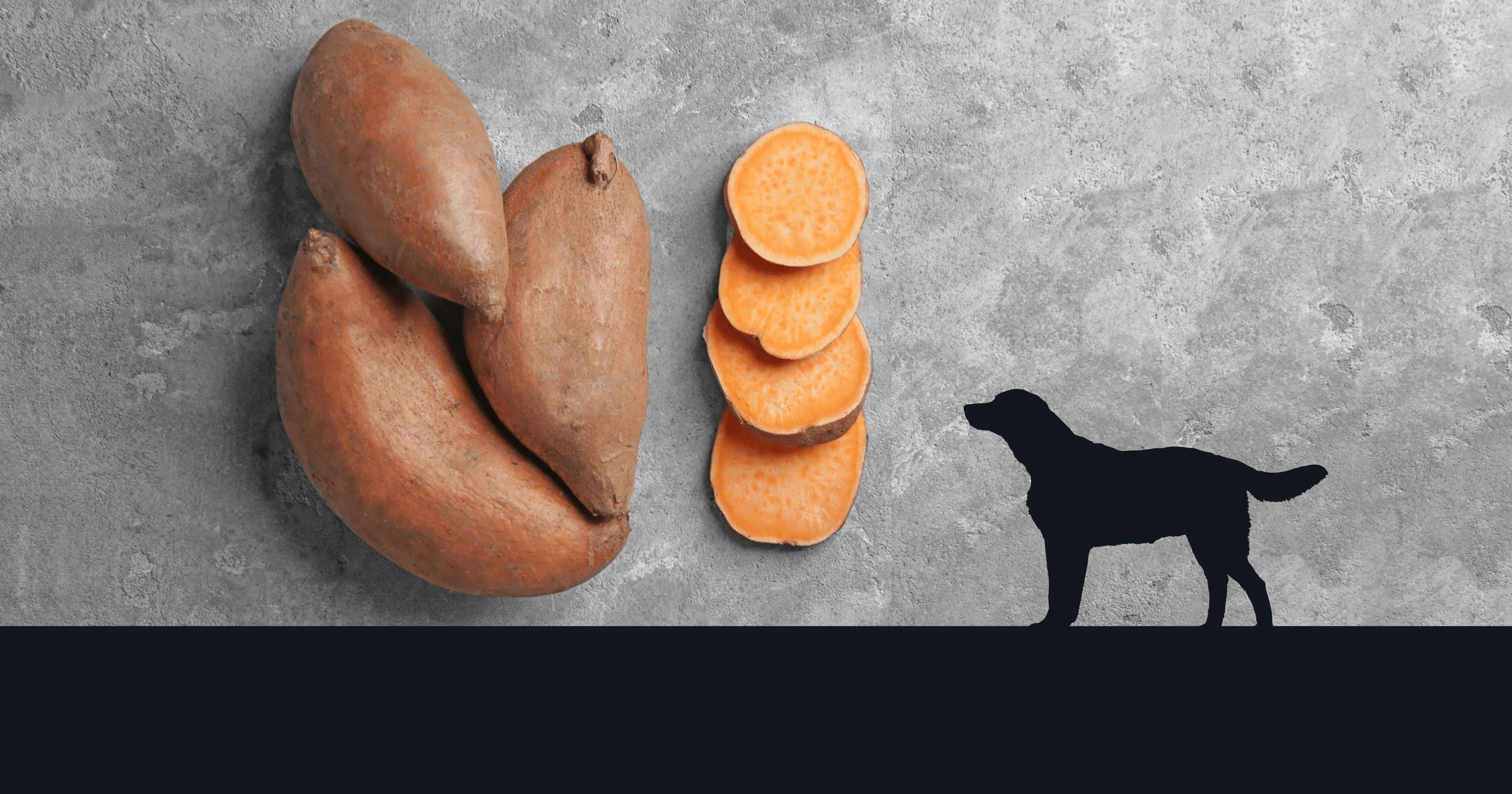 The Benefits of Sweet Potatoes for Dogs