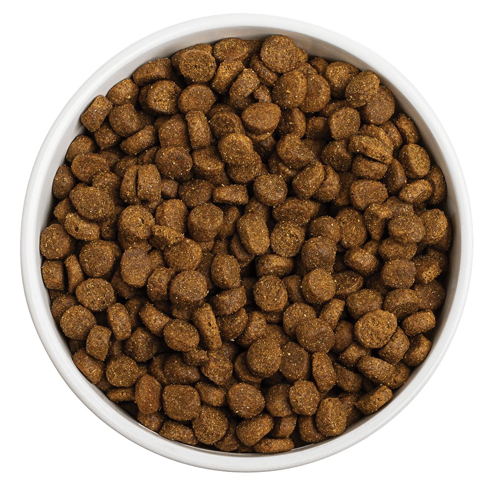 Grain Free Land Recipe Dog Food