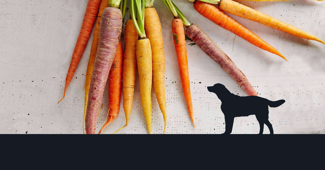 Silhouette of a dog in front of carrots