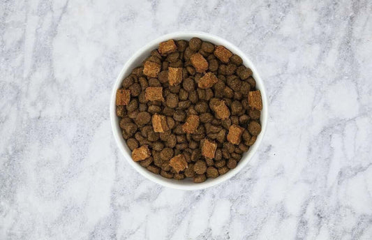 How to Use Dog Food Toppers