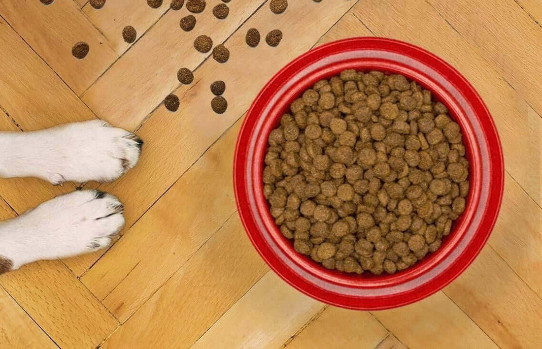 How Rotational Diets Add Variety to Your Dog's Meal