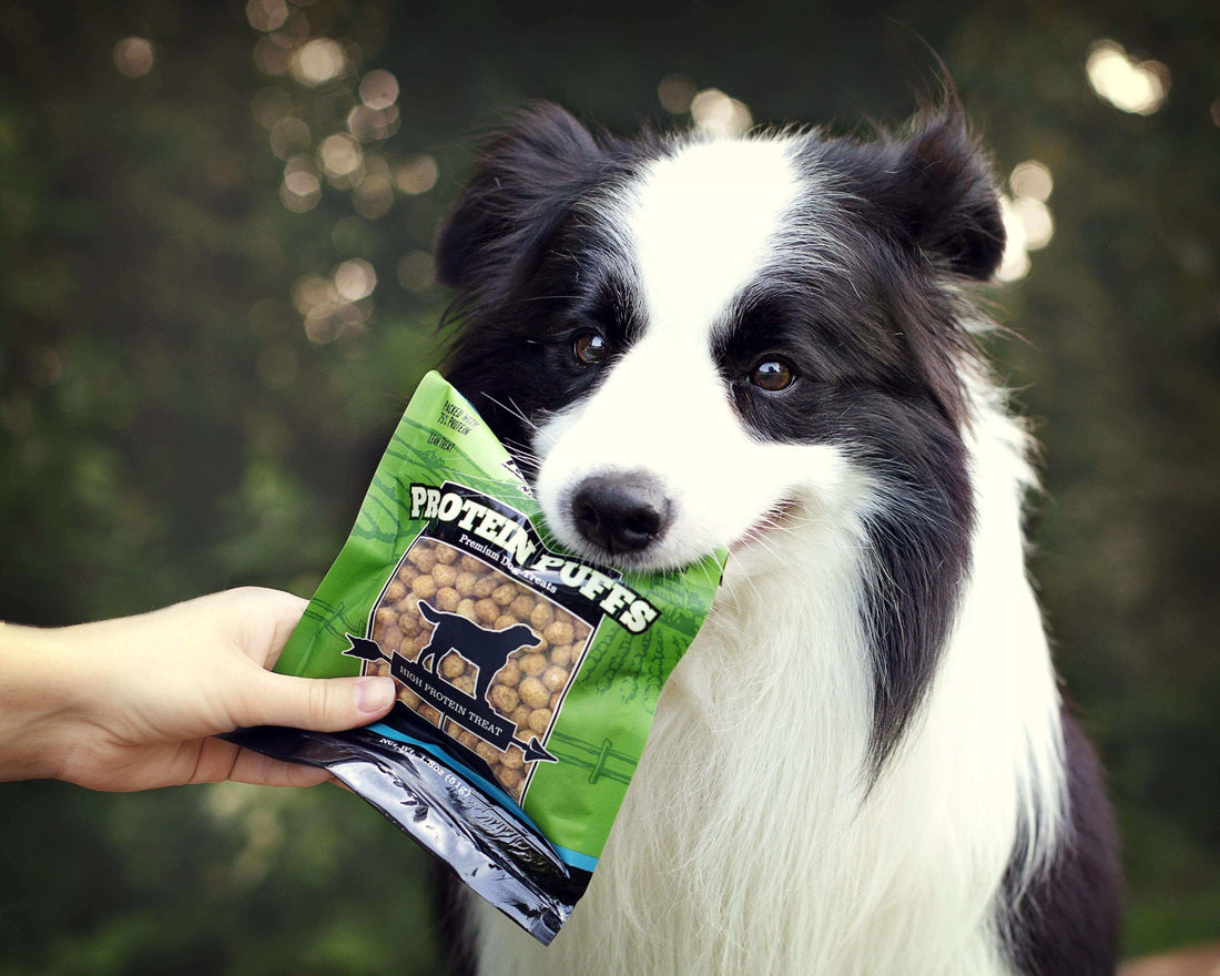 Dog with a bag of Redbarn Protein Puffs in his mouth