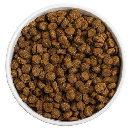 Bowl of dog kibble