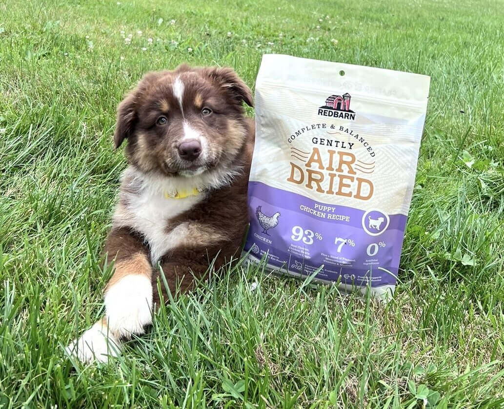 An adorable puppy next to the Air Dried Puppy Recipe Dog Food