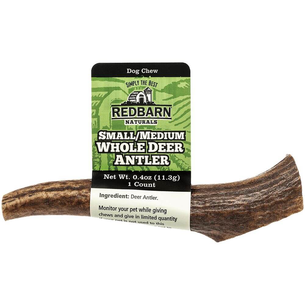 Deer Antler (Small/Medium)