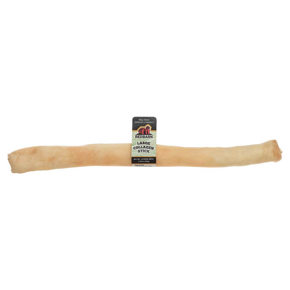 Large Collagen Stick