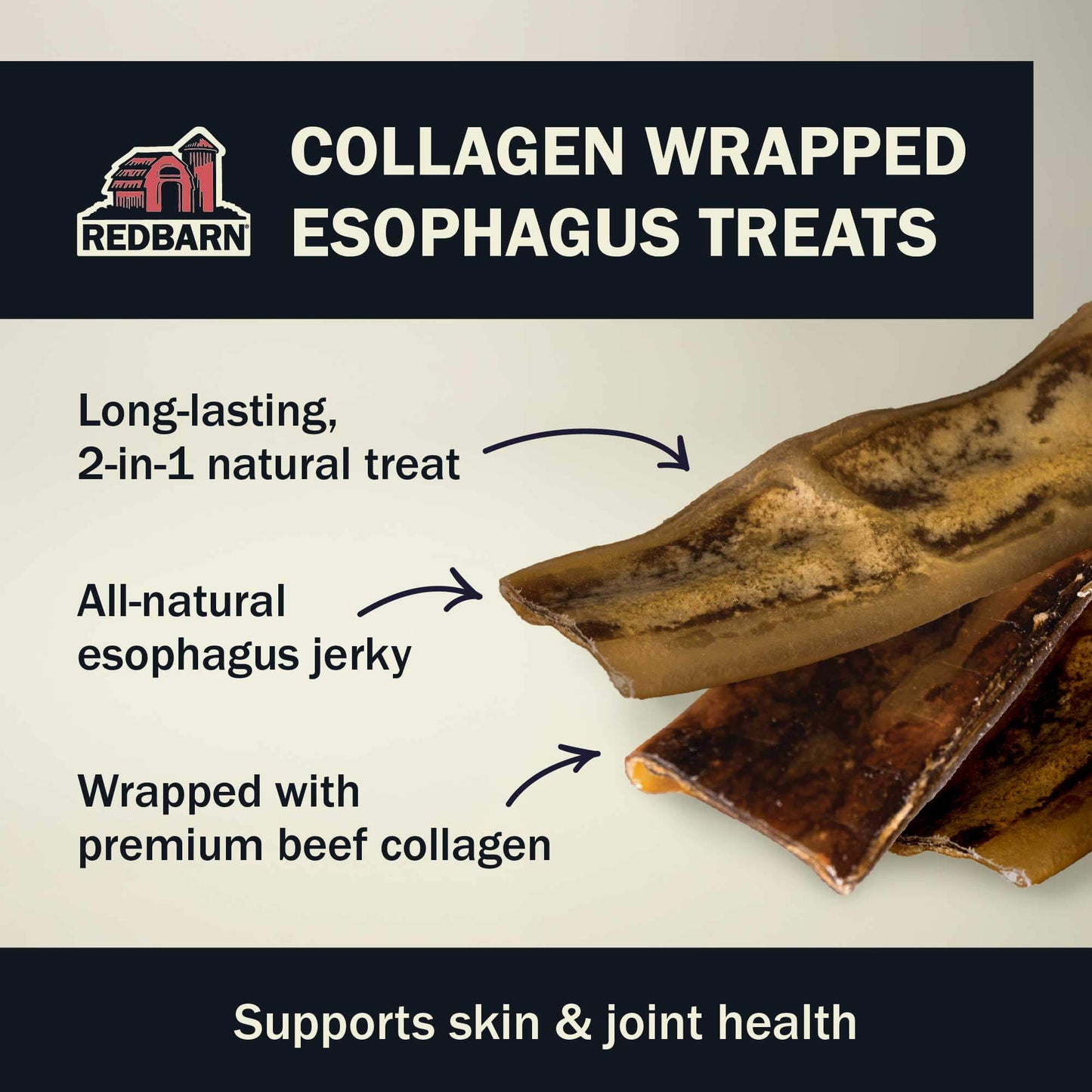 Features of the Collagen Wrapped Esophagus Slice