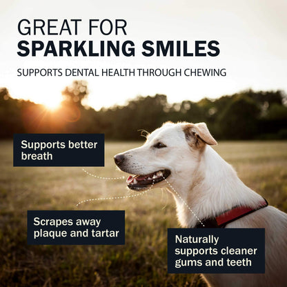 Great For Sparkling Smiles