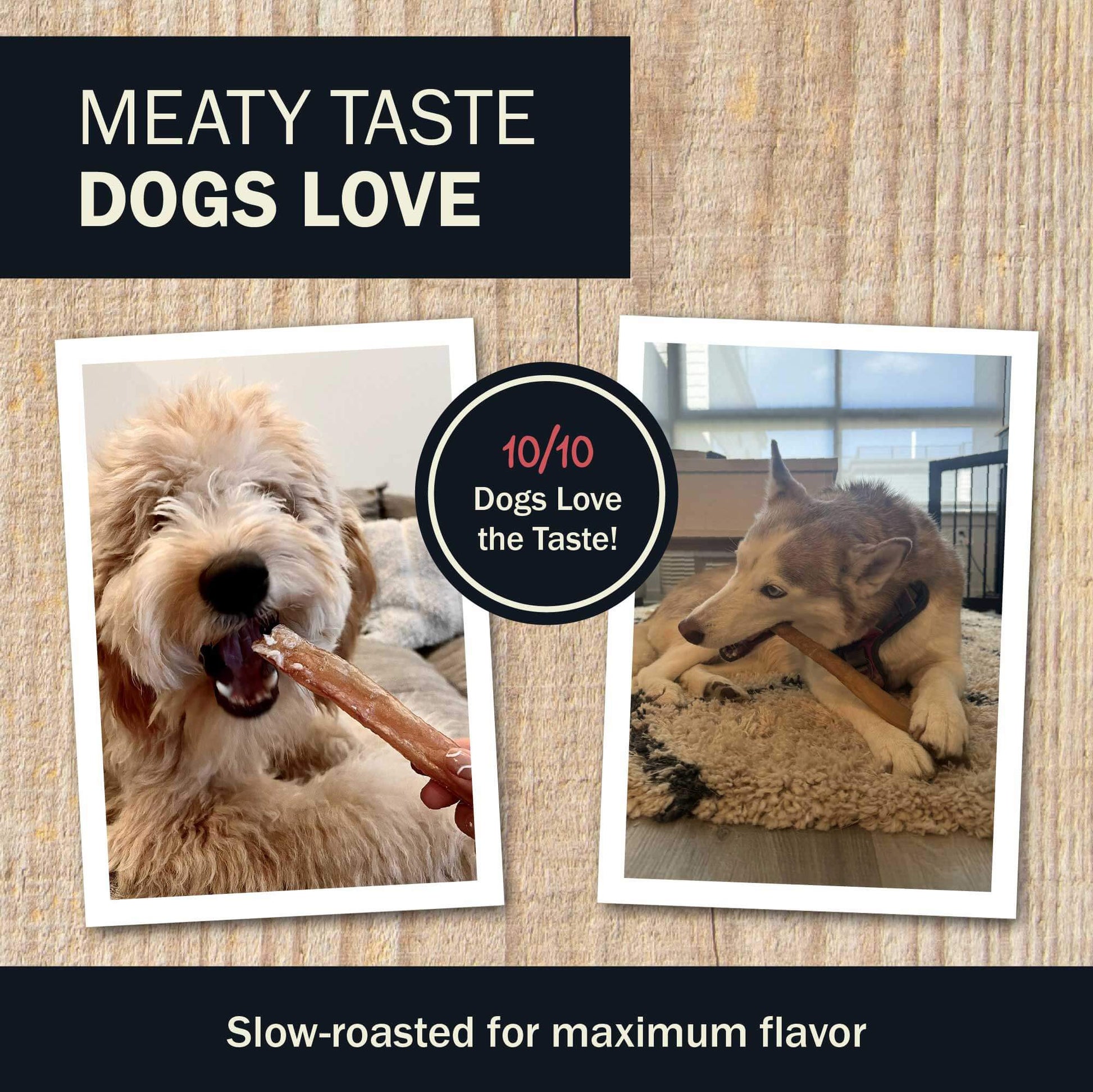 Meaty Taste Dogs Love