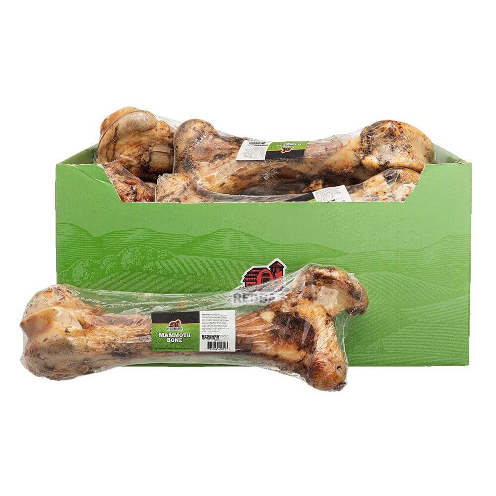 Redbarn Mammoth Bone - Case