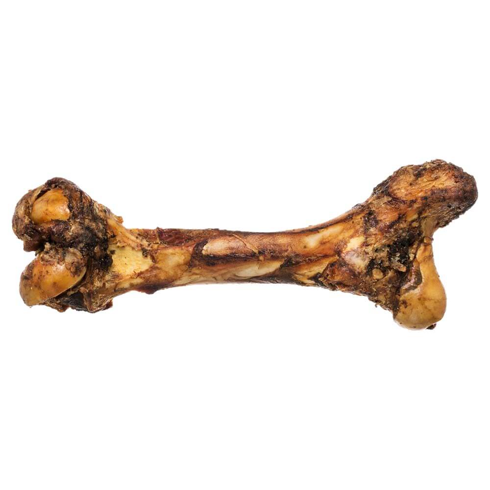 A single Redbarn Mammoth Bone