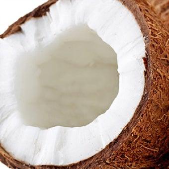 Coconut