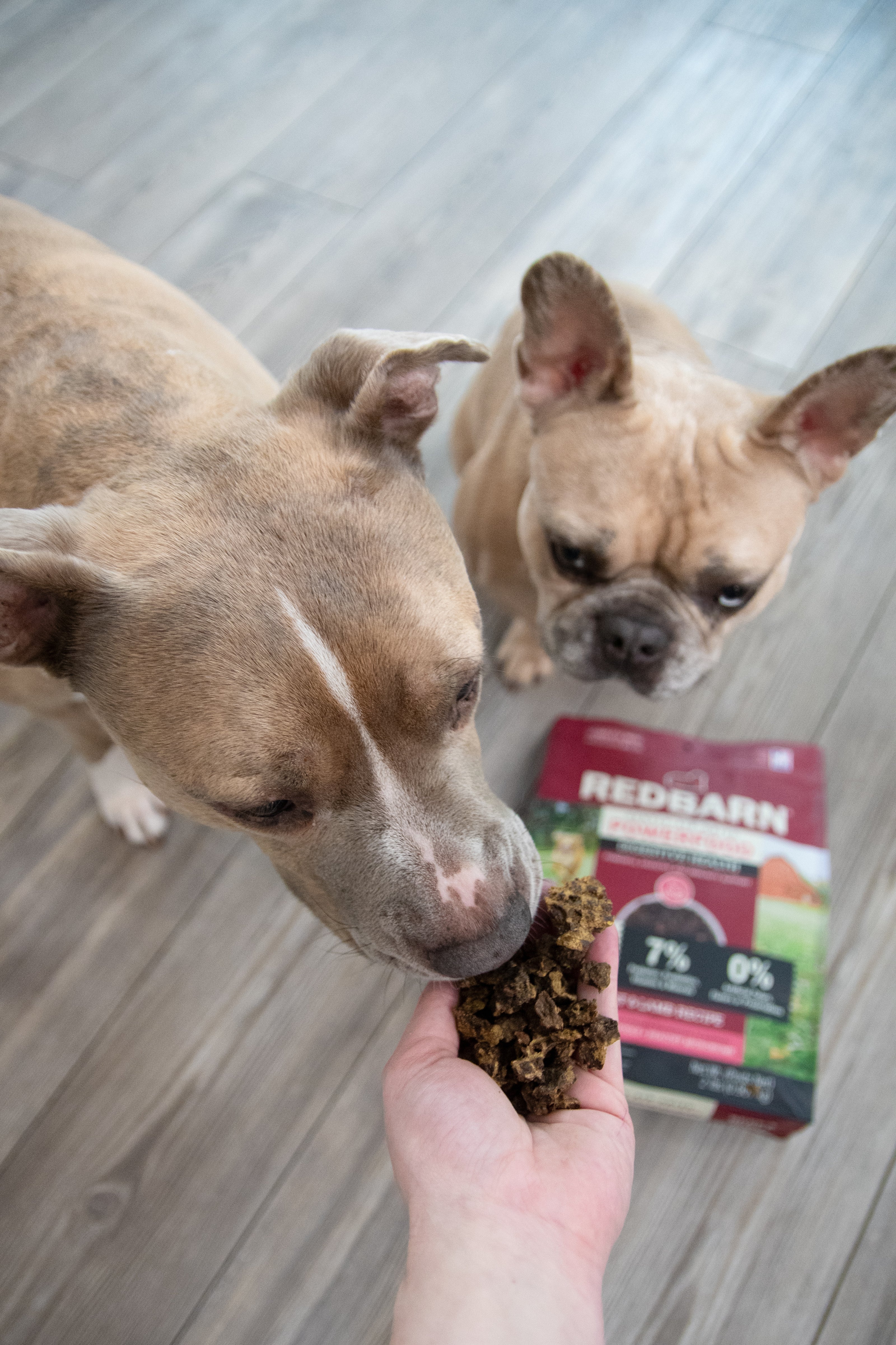 Two dogs waiting to be hand fed Air Dried Power Food with bag on the floor