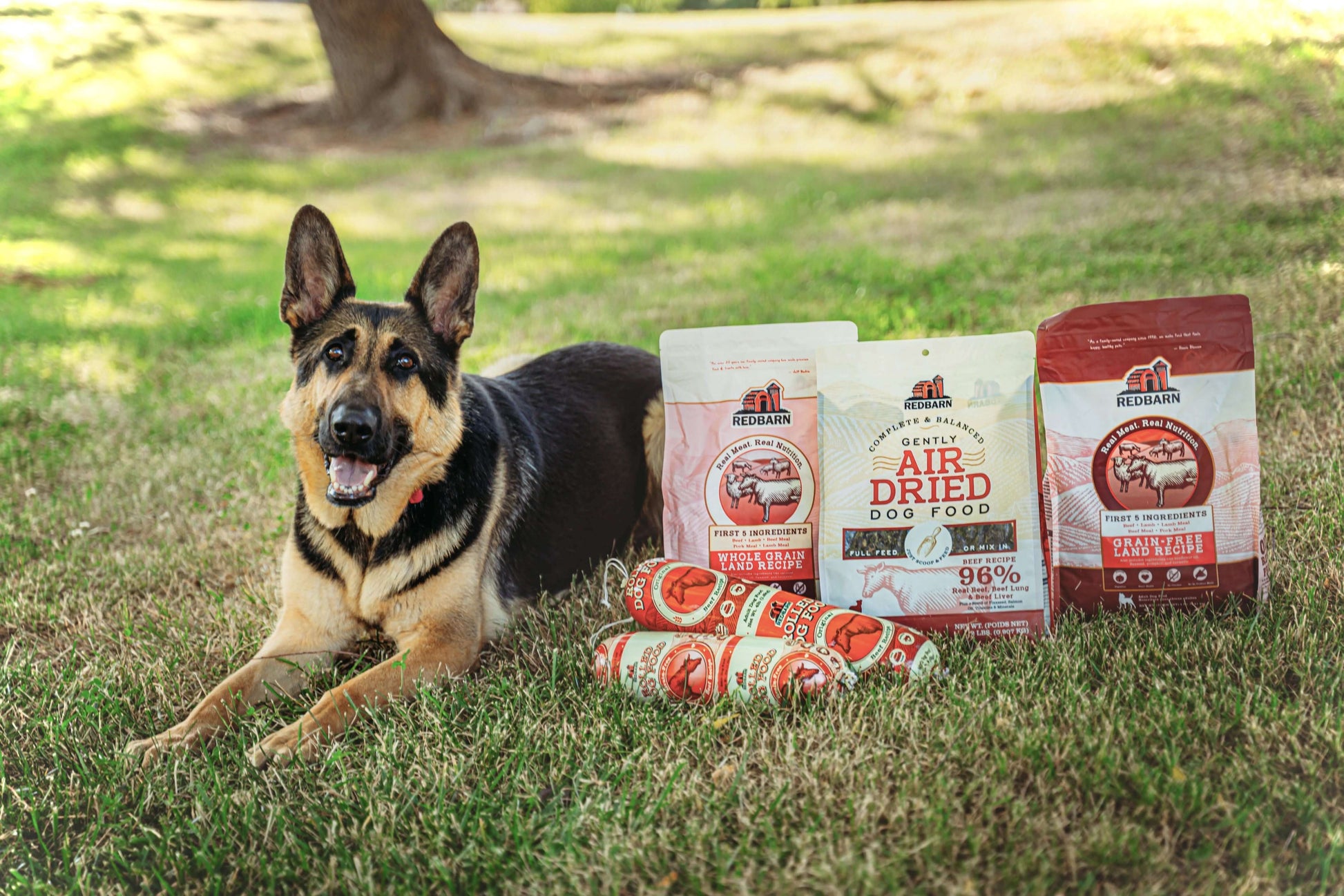 A happy dog posing next to the Redbarn Family of Foods Sample Pack