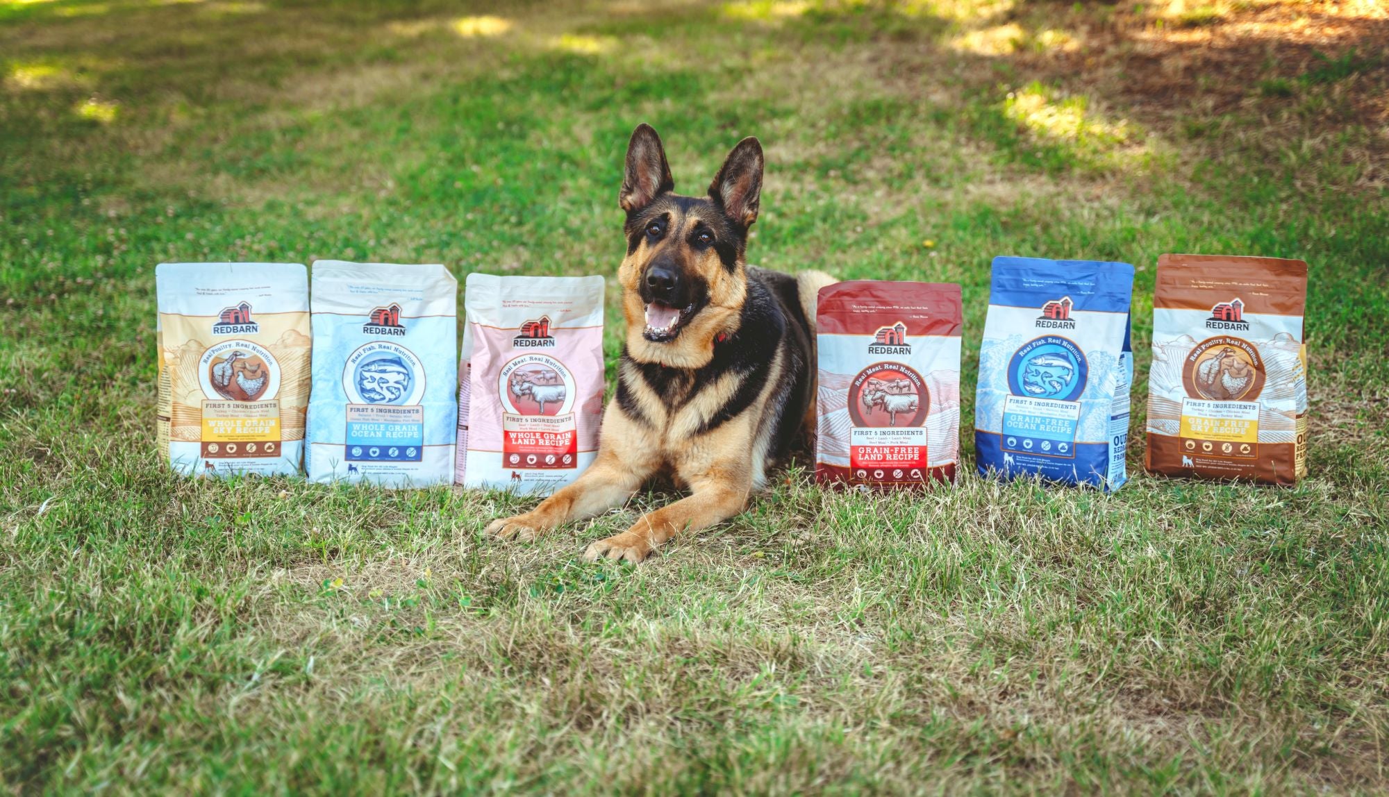 Whole Grain Dry Dog Food Variety 3-Pack - (Land, Sky and Ocean) - 4lb bags