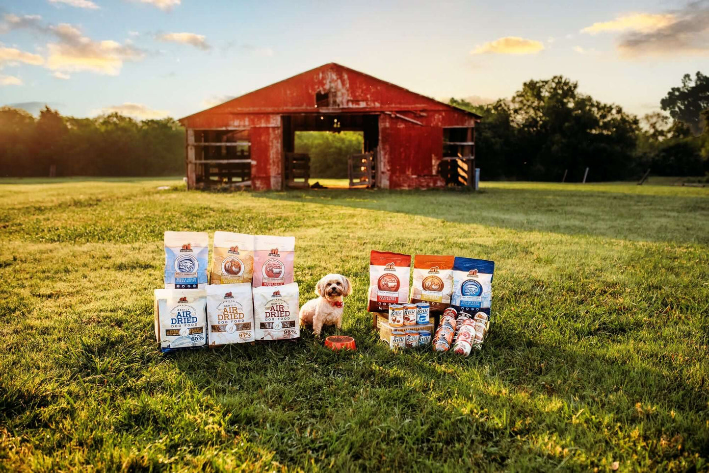 An adorable dog posing next to the Redbarn Family of Dog foods