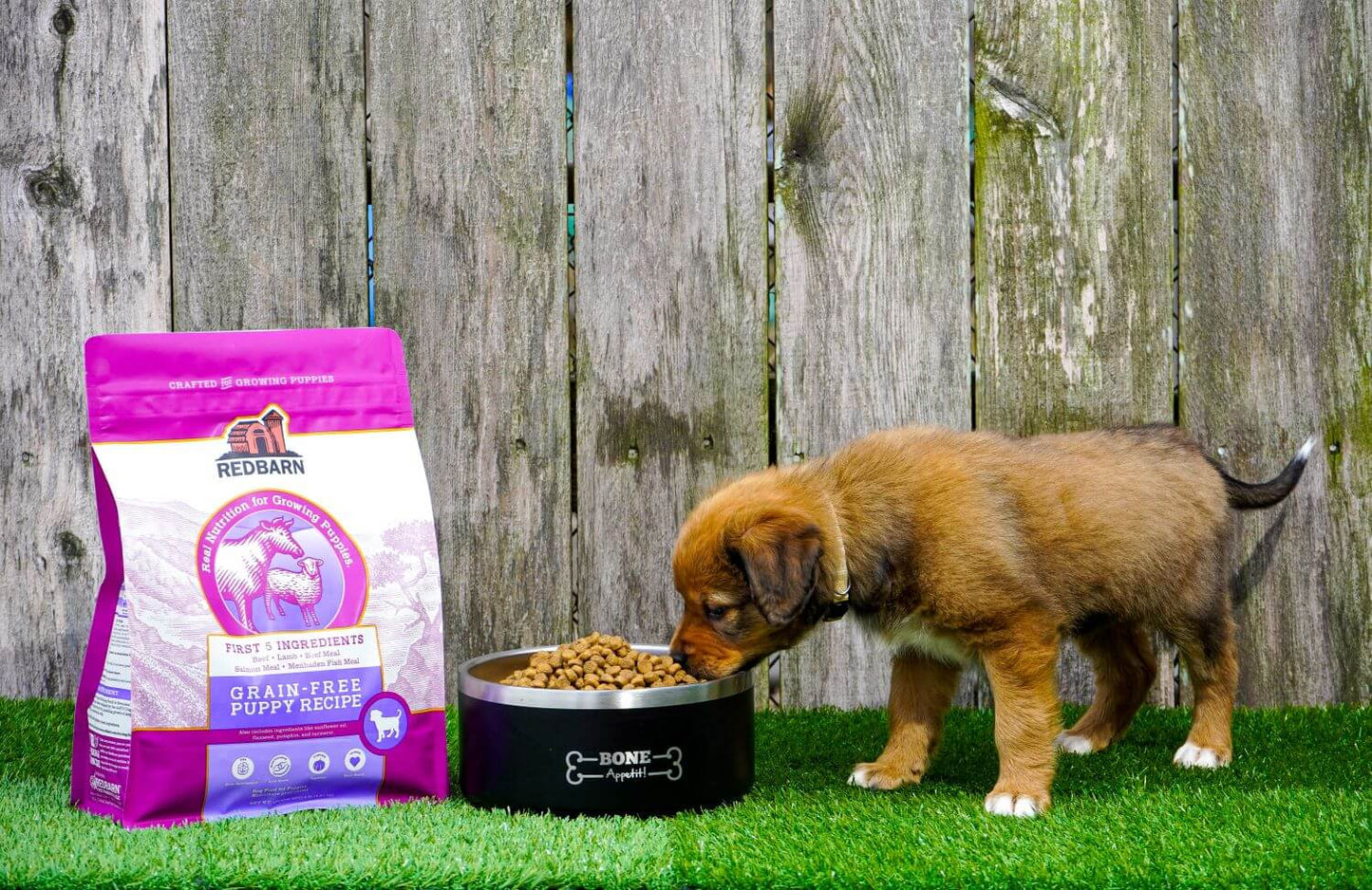 A puppy eating the Redbarn Grain-Free Puppy Recipe food in their Bone Appetit Bowl