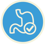 Digestive Health Icon