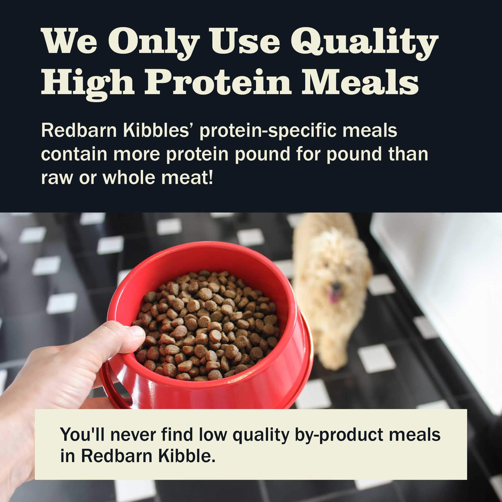 NEW Grain Free Large Breed Recipe Dog Food