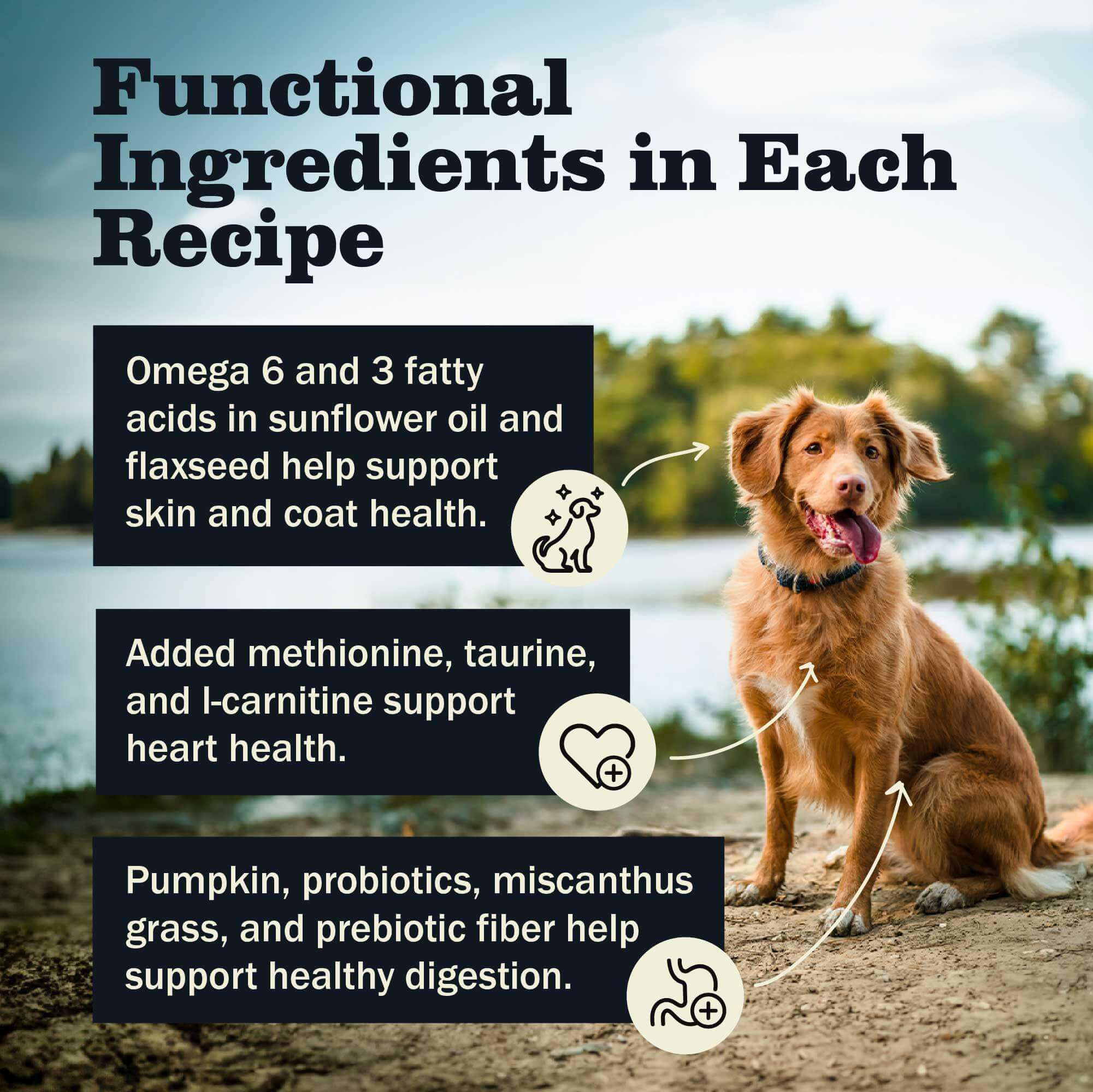 Grain-Free Ocean Recipe Dog Food