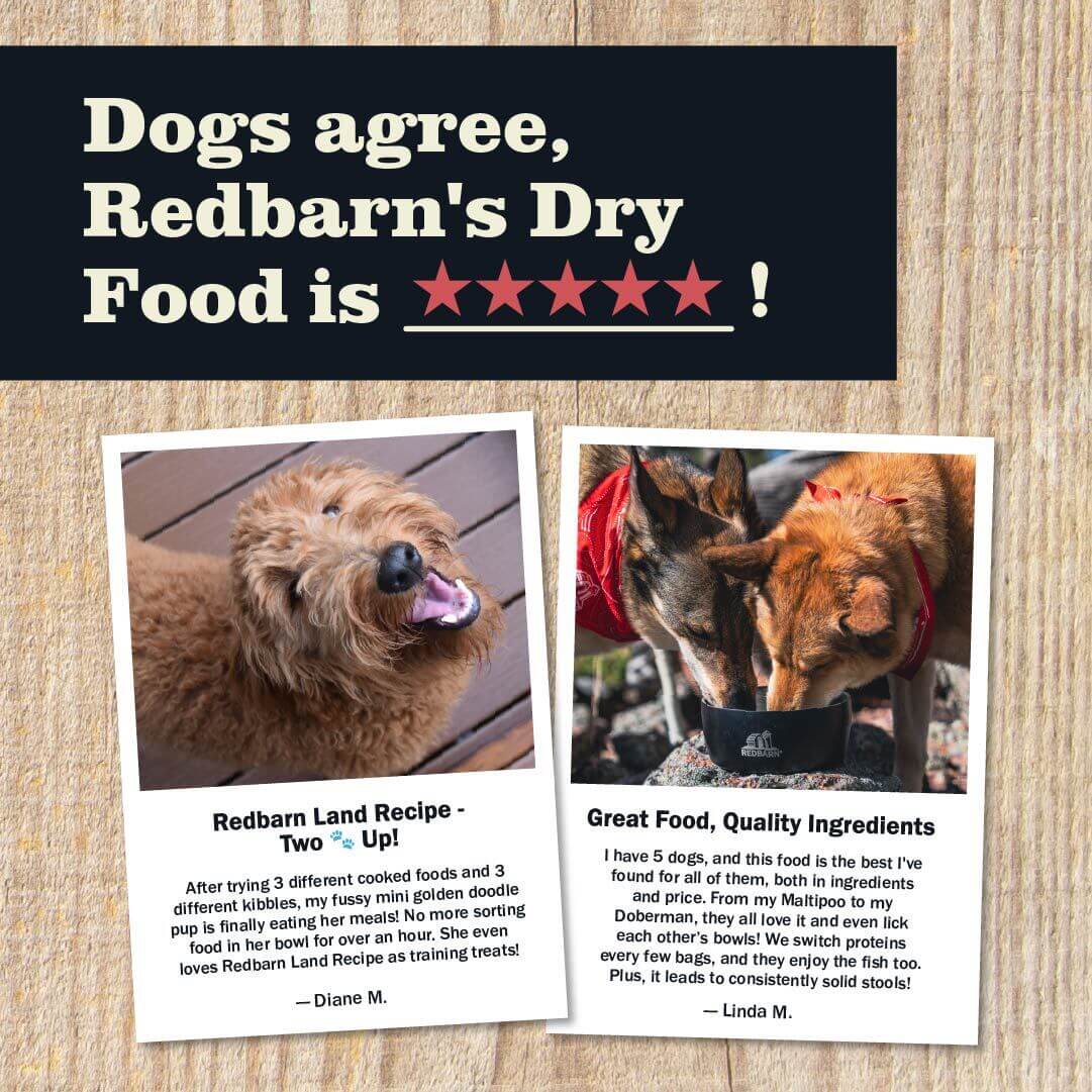 Dogs agree, Redbarn food is 5 stars!