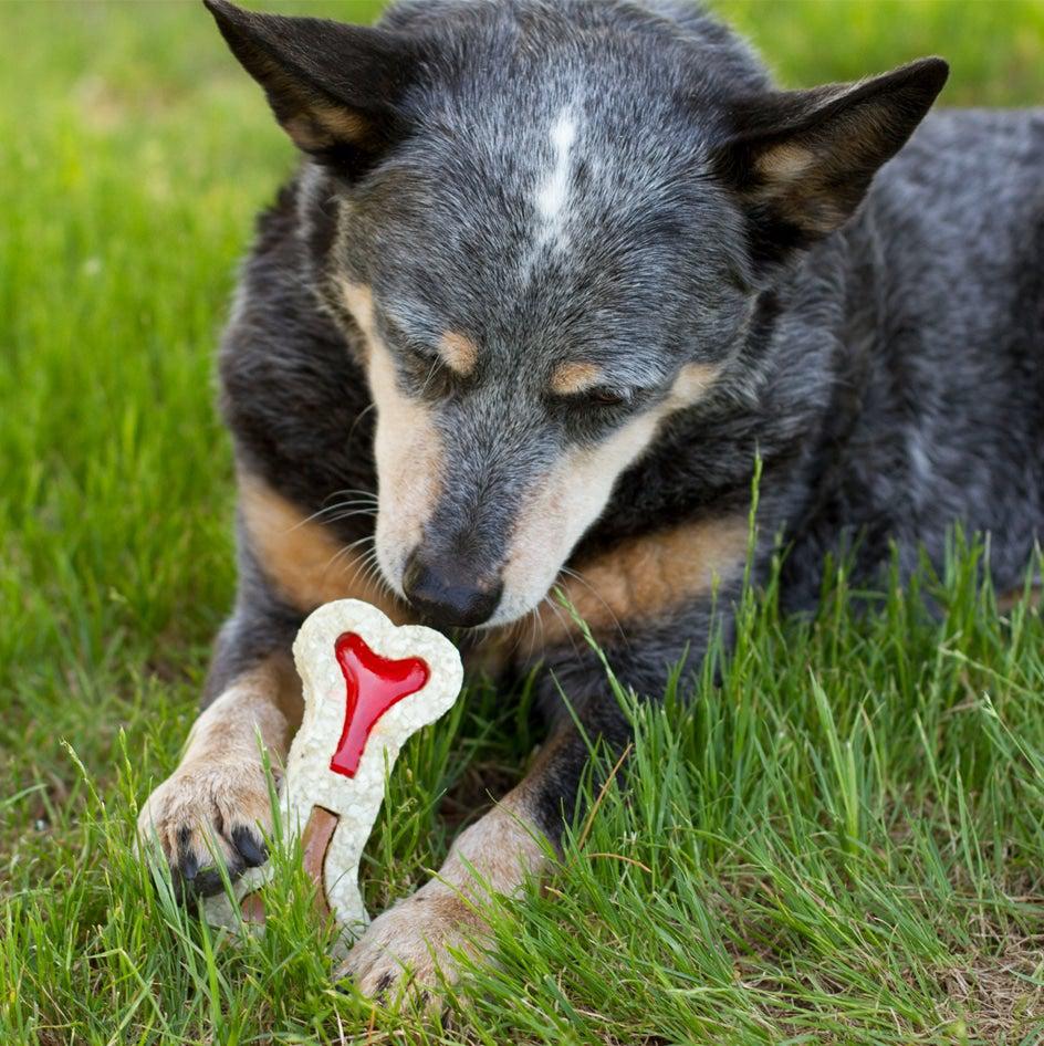 Redbarn_Filled_Rawhide_Bone_Ham-and-cheese_Dog