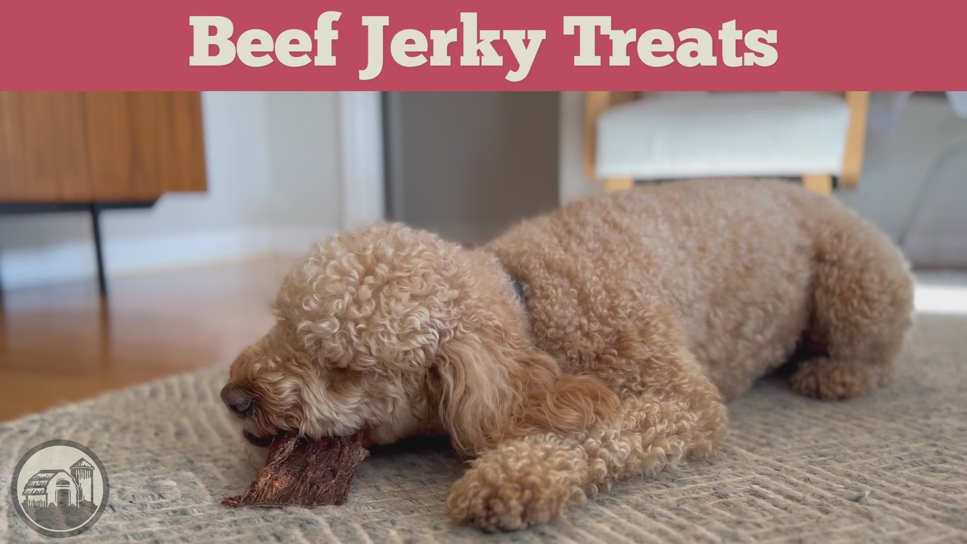 Beef Jerky