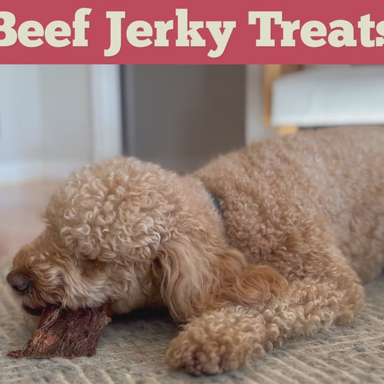 Video commercial featuring the Redbarn Beef Jerky