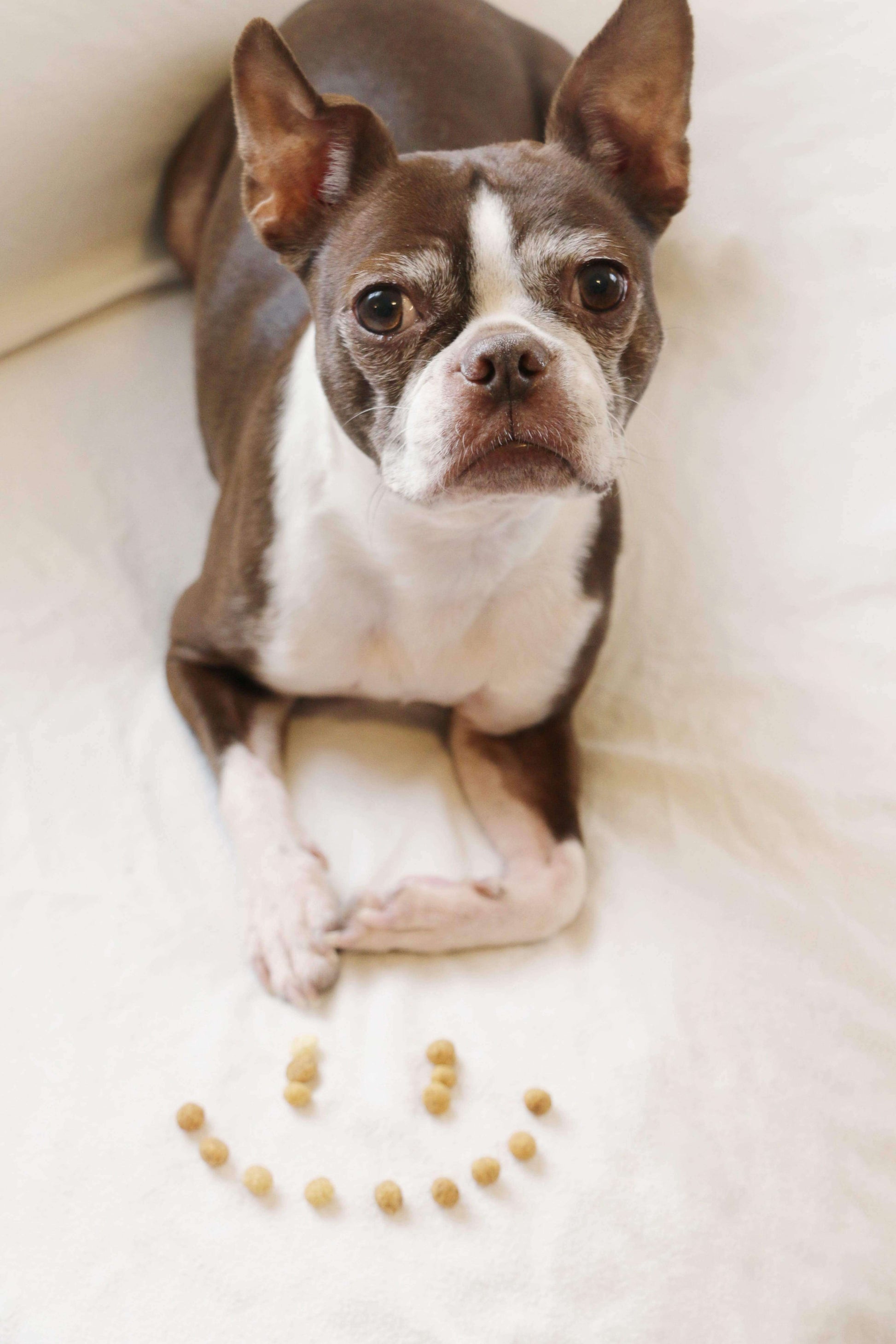 Protein Puffs Peanut Butter Flavor