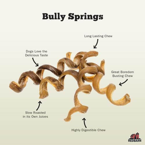 Odor-Free Bully Spring