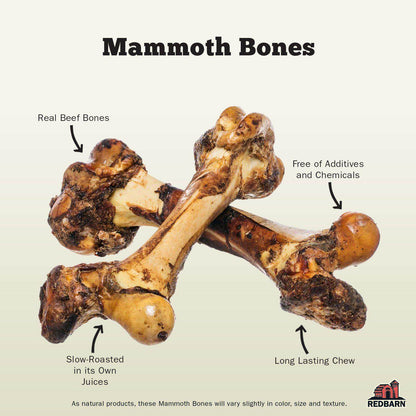 Features of the Redbarn Mammoth Bone