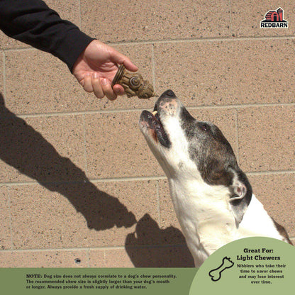 A Dog excited to receive a Chew-A-Bulls® Hydrant