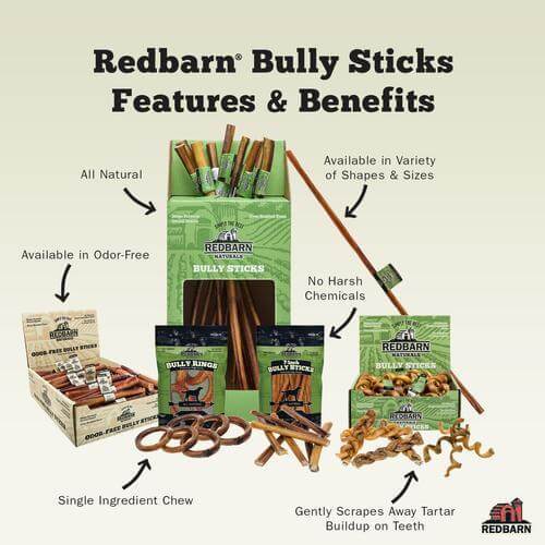 Odor-Free Bully Stick