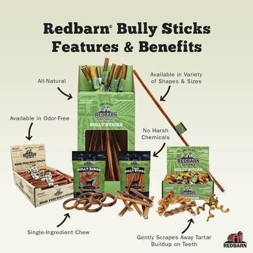 Odor-Free Braided Bully Stick