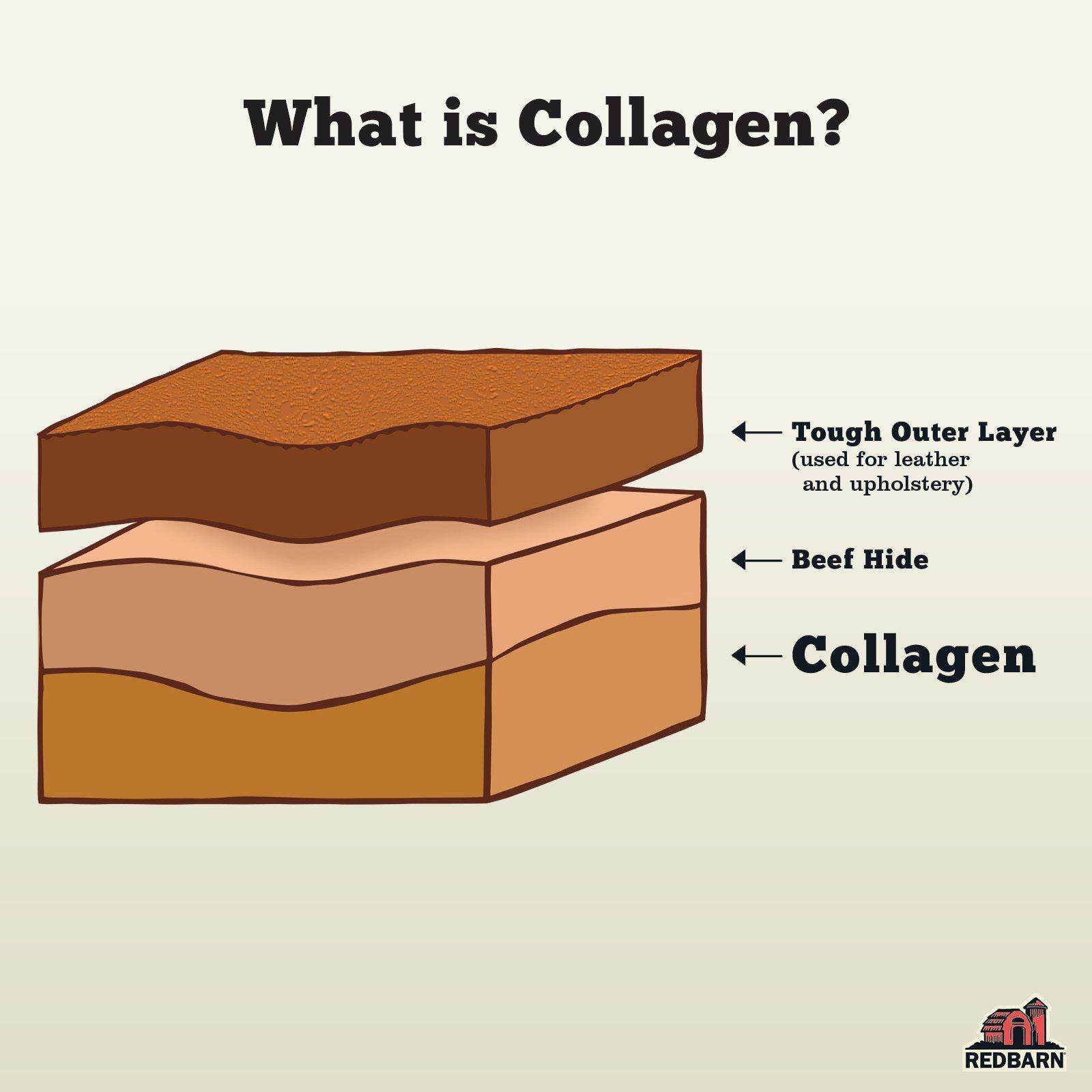 Collagen Braid