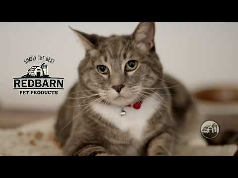 Video commercial featuring Redbarn Protein Puffs for cats