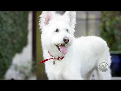 Video commercial featuring Redbarn Bully Stick Chews