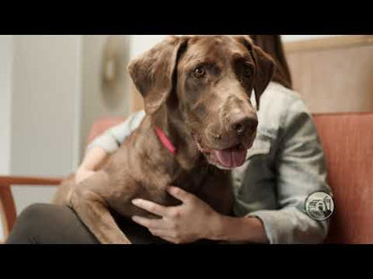 Video commercial featuring Redbarn Natural Ear Chews